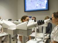 Mehrere Mikroskope zur Fallbesprechung
