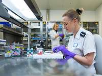 Assistenzärztin bei der makroskopischen Befundung im Institut für Pathologie und Molekularpathologie Assistenzärztin bei der makroskopischen Befundung im Institut für Pathologie und Molekularpathologie