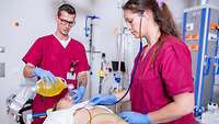 Schockraum der Klinik Anästhesie, Intensiv- und Notfallmedizin, Schmerztherapie und Rettungsdienst