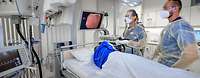 Gastroskopie (Magenspiegelung) in der Klinik für Innere Medizin am Bundeswehrkrankenhaus Hamburg Ein Arzt steht mit einem Gastroskop neben einem liegenden Patienten mit Blick zu einem Monitor