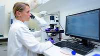 Medizinisch Technische Labor Assistentin (MTLA) bei der mikroskopischen Begutachtung einer Zellkultur Medizinisch Technische Labor Assistentin (MTLA) bei der mikroskopischen Begutachtung einer Zellkultur
