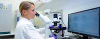 Medizinisch Technische Labor Assistentin (MTLA) bei der mikroskopischen Begutachtung einer Zellkultur Medizinisch Technische Labor Assistentin (MTLA) bei der mikroskopischen Begutachtung einer Zellkultur
