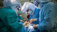 Chirurgen der Klinik für Mund-, Kiefer- und Gesichtschirurgie führen in ihrer persönlichen Schutzausrüstung eine Operation durch