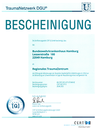 Regionales Traumazentrum 2022