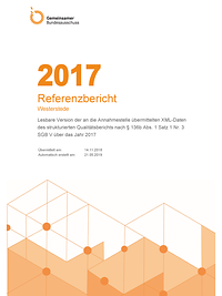 Qualitätsbericht 2017