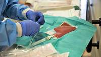 Vorbereitung einer Stammzelltransfusion