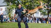 Ein Diensthund der Polizei beißt in den Schutzarm-Überzug eines Polizisten 